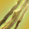 SnapCrab_NoName_2014-11-4_18-42-48_No-00