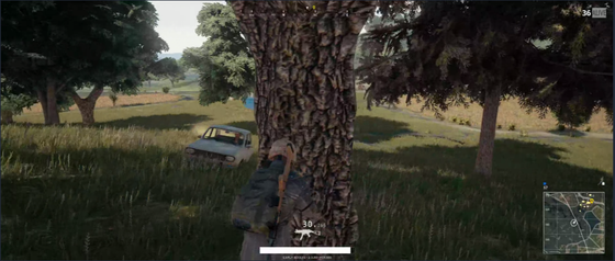 Pubg 木に隠れてもロードキルからは逃げられない ゲーム攻略のまるはし Pubg 木に隠れてもロードキルからは逃げられない ゲーム攻略のまるはし