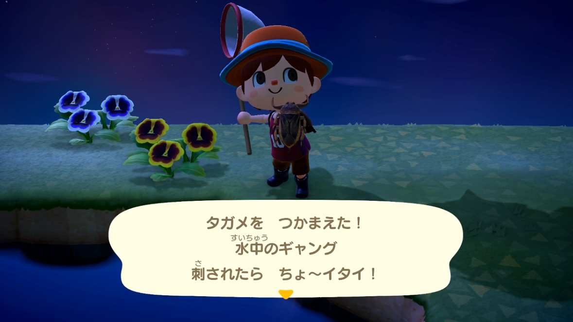 あつまれどうぶつの森 4月に追加されたタガメを捕まえました ゲーム攻略のまるはし