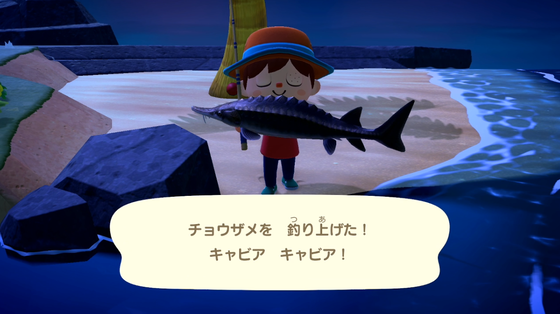 チョウザメ_03