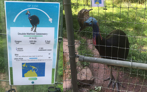 ポケモンgo 米バーミンガム動物園の動物紹介がポケモンgo風www ポケgo ゲーム攻略のまるはし ポケモンgo 米バーミンガム動物園の動物紹介がポケモンgo風www ポケgo ゲーム攻略のまるはし
