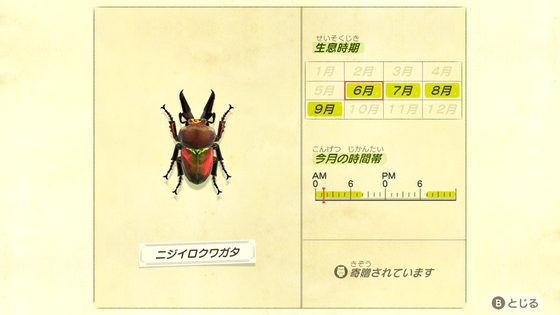 どうぶつの森_03