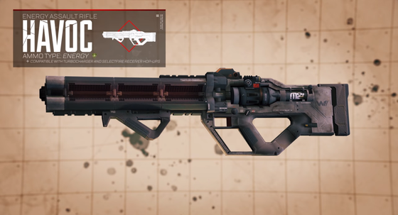 ハボックライフル_03