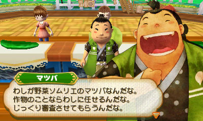 牧場物語 つながる新天地 2