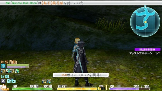 SAO ホロウ・フラグメント 28