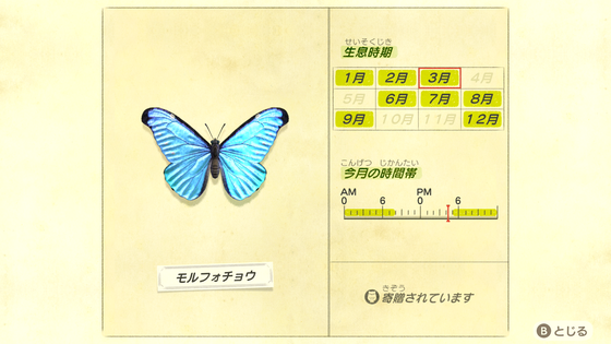 どうぶつの森_07