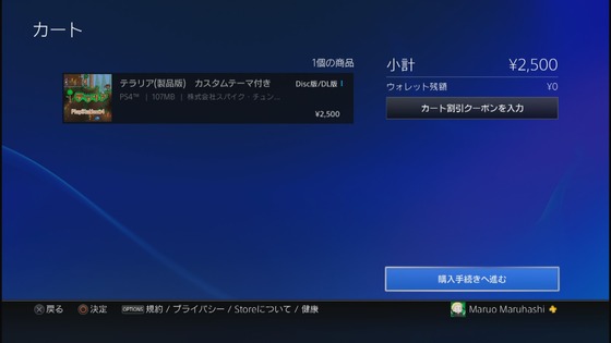 PS4_テラリア_01