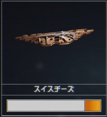 スイスチーズ07