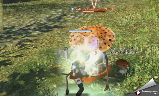 FF14 新生エオルゼア 14