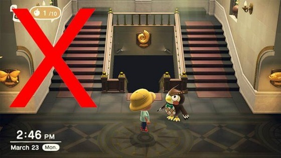 Blathers-Museum-of-bugs-and-fish-in-Animal-Crossing-PETA-602x339