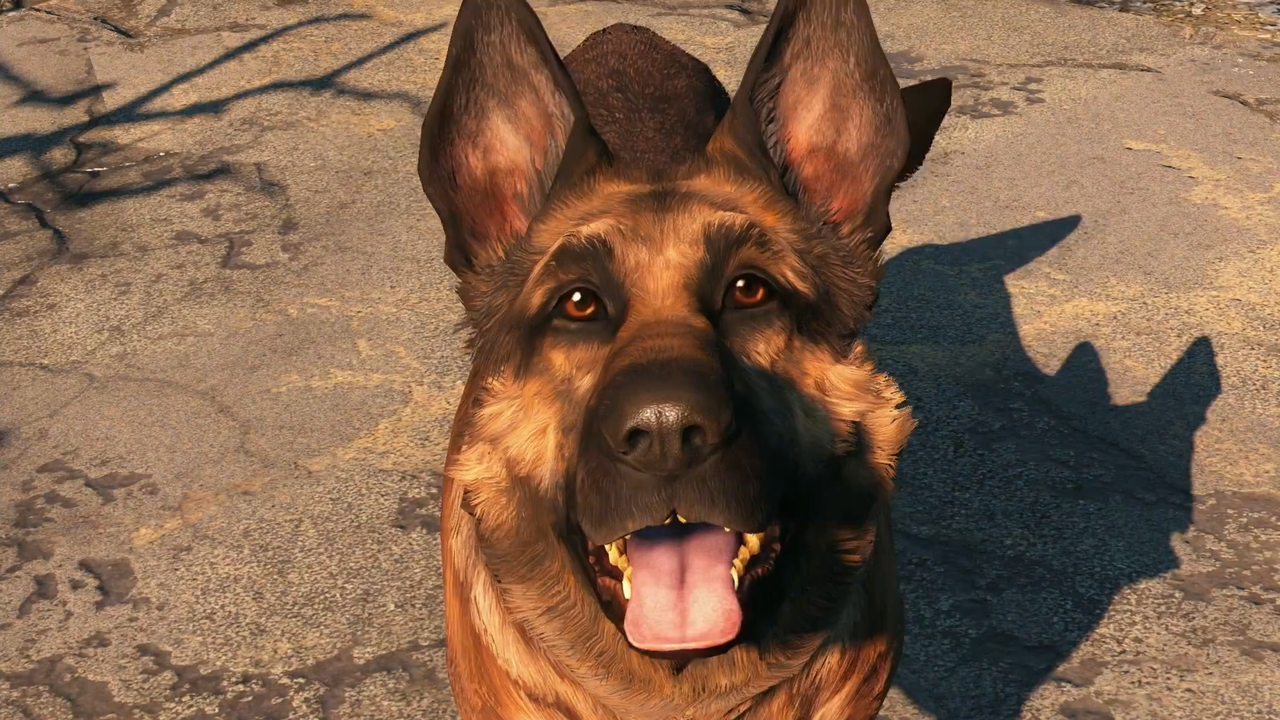 Fallout4 ドッグミート医療犬になるの巻 ゲーム攻略のまるはし