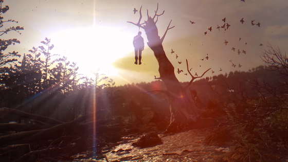 フォロイング_01