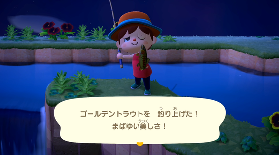 ゴールデントラウト_01