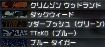 ペイント迷彩