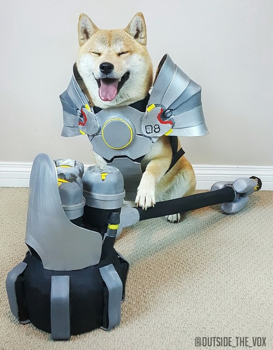 CrsIYMdUsAEPYZt