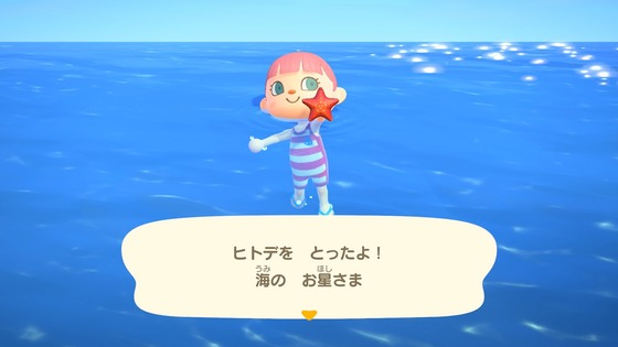 8665_03_17105122482026_jpg