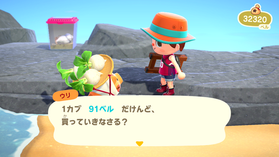 どうぶつの森_01