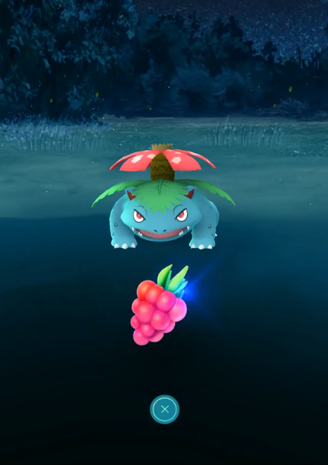 ポケモンgo フジギバナゲットしたぞwwwハイパーボールでも大苦戦 ポケモンゴー ゲーム攻略のまるはし ポケモンgo フジギバナゲットしたぞwwwハイパーボールでも大苦戦 ポケモンゴー ゲーム攻略のまるはし