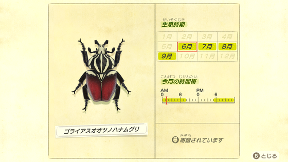 どうぶつの森_02