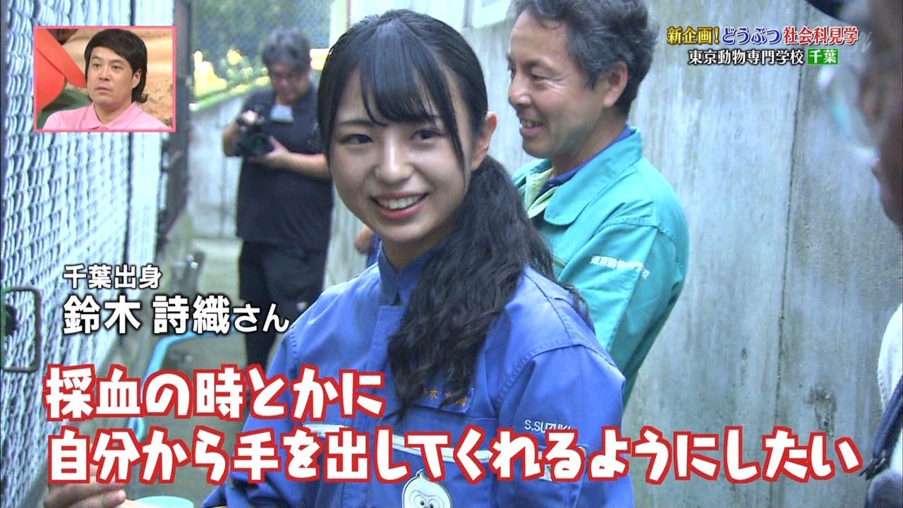 画像 東京動物専門学校 鈴木詩織さんが美少女すぎる 志村どうぶつ園に出演した女子生徒が超かわいい アイドルレベルだと話題沸騰 あいどる速報 アイドル 芸能とかのまとめ 画像 東京動物専門学校 鈴木詩織さんが美少女すぎる 志村どうぶつ園に出演した女子生徒が超かわいい アイドルレベルだと話題沸騰 あいどる速報 アイドル 芸能とかのまとめ