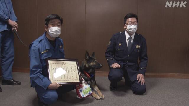 お手柄 逃亡した前歴を持つ警察犬 クレバ号 表彰される 行方不明のお年寄りを発見 兵庫県警 ファンサマリィ お手柄 逃亡した前歴を持つ警察犬 クレバ号 表彰される 行方不明のお年寄りを発見 兵庫県警 ファンサマリィ
