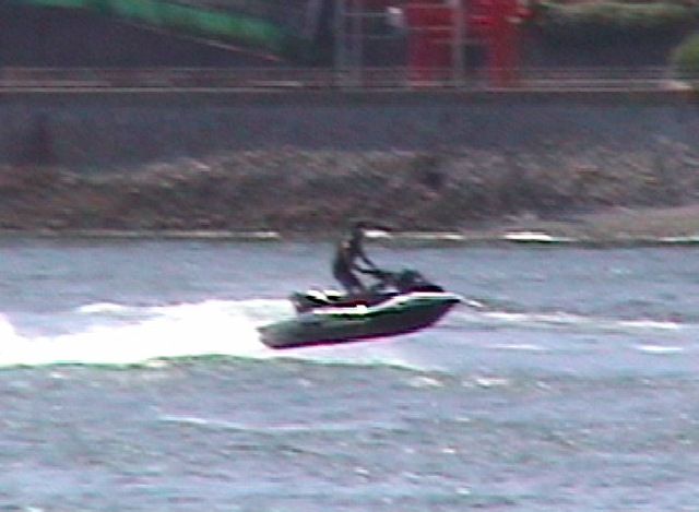 【悪質】水上バイク　イルカの群れに突っ込み執拗に追い立て、実は一番恐れているのは漁師たち！