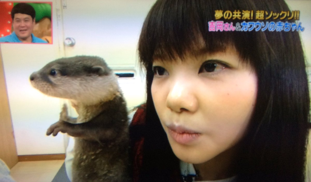 結婚 いきものがかりの吉岡聖恵 カワウソ が一般男性との結婚を発表 おめでとうございます ファンサマリィ 結婚 いきものがかりの吉岡聖恵 カワウソ が一般男性との結婚を発表 おめでとうございます ファンサマリィ