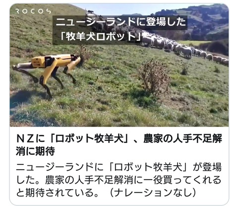 ニュージーランド 人不足だけでなく犬不足解消にもなる ロボット牧羊犬 登場 ファンサマリィ ニュージーランド 人不足だけでなく犬不足解消にもなる ロボット牧羊犬 登場 ファンサマリィ