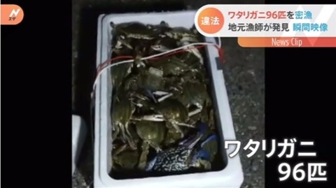 愛知県ではカニ96匹を密漁 フィリピン人の男2人を書類送検 地元漁師が発見 ファンサマリィ