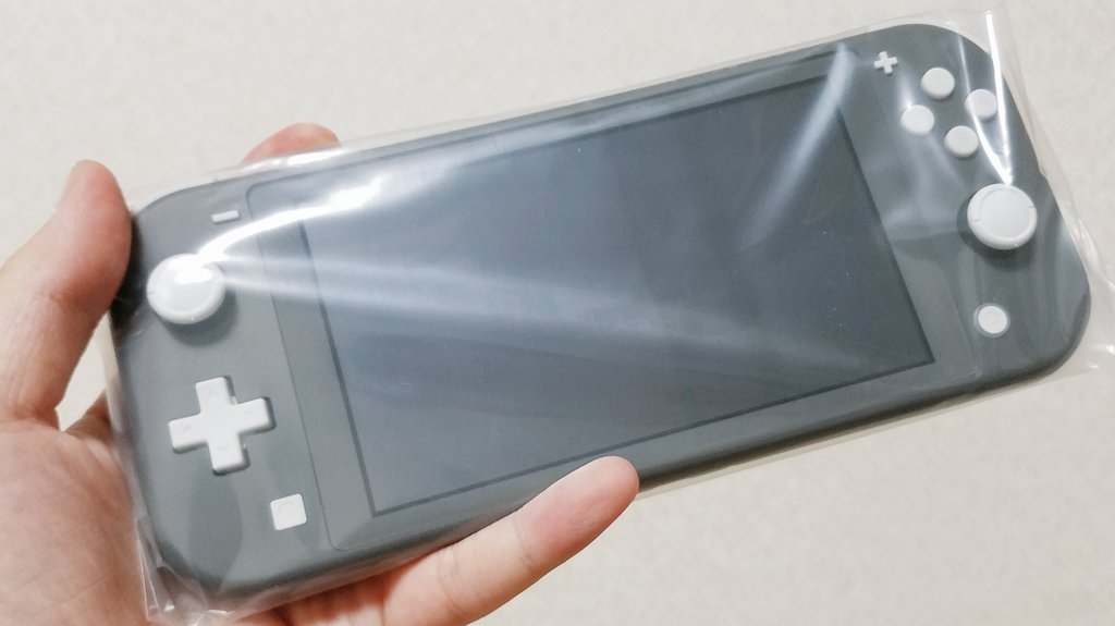 これは意外 ニンテンドースイッチ ライト 思ってたより ファンサマリィ