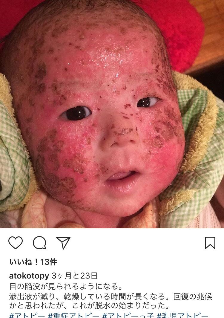 がむしゃらニュース