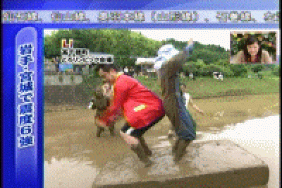 がむしゃらニュース