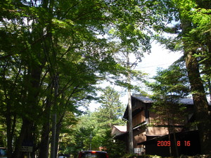 �ڰ����ο�