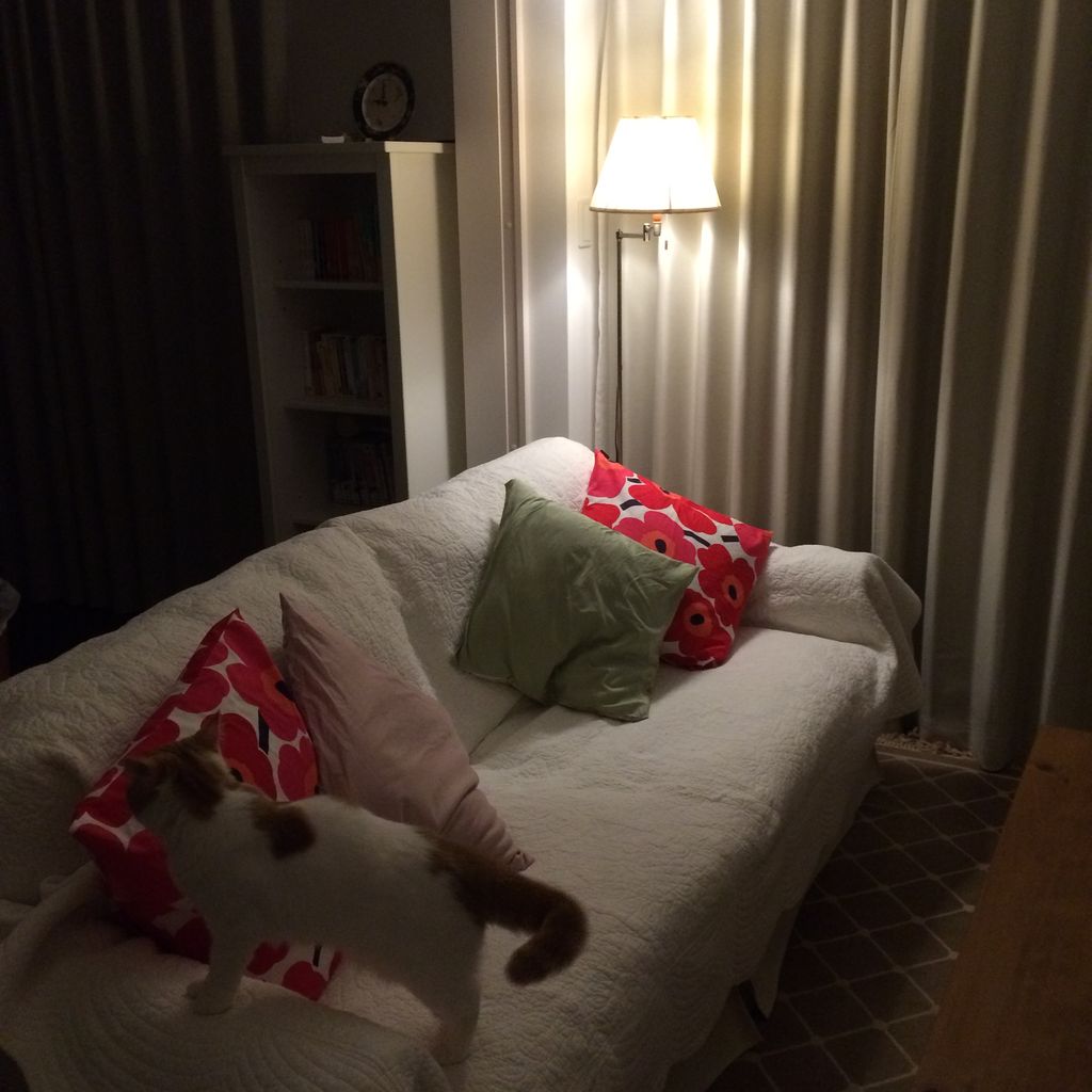 賃貸2ldkをホテルのような部屋にしたい ミミちゃんの台所日記 賃貸2ldkをホテルのような部屋にしたい ミミちゃんの台所日記
