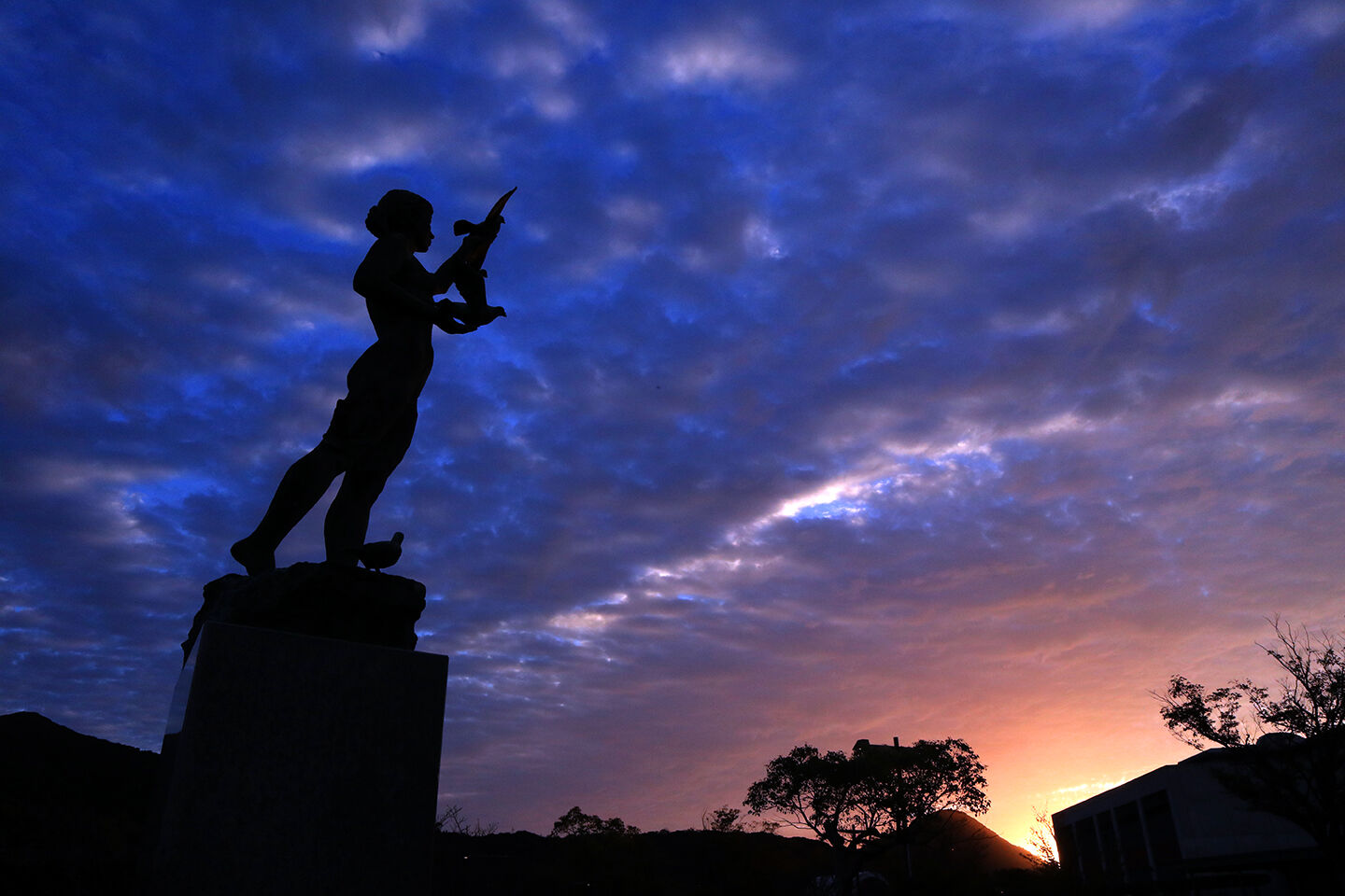 日溜りの眠り猫
