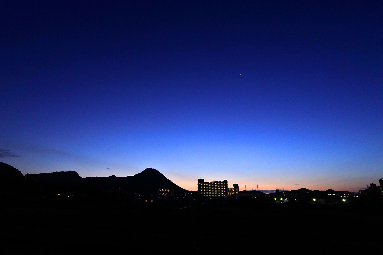 日溜りの眠り猫