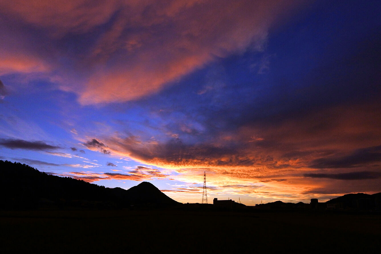 日溜りの眠り猫