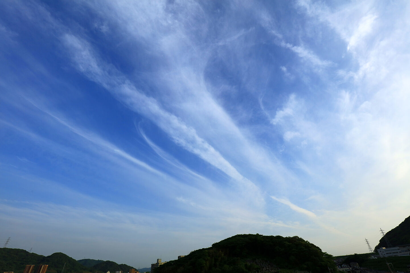 17 00の空を 野良猫日記