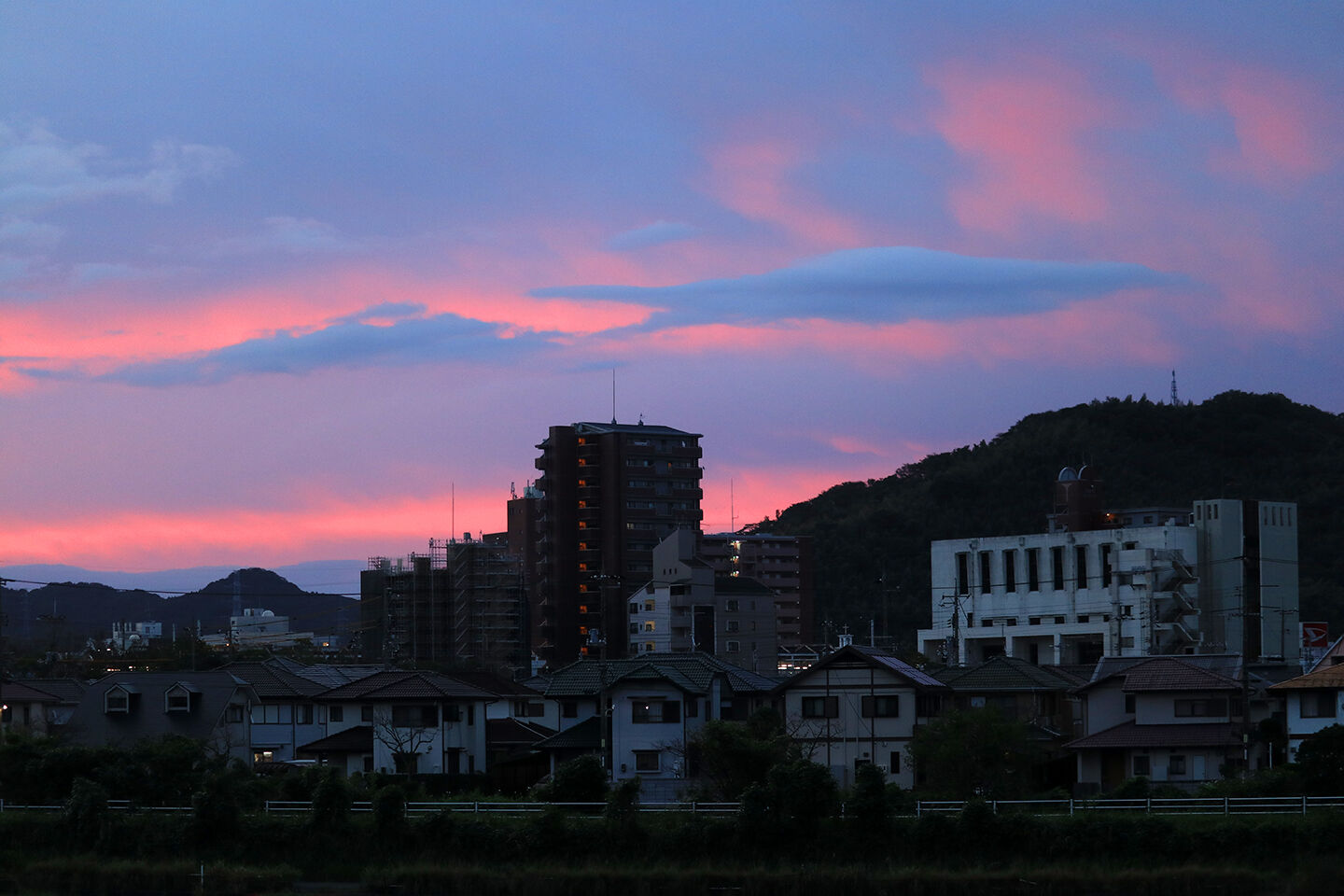 夜明けの空に 野良猫日記 夜明けの空に 野良猫日記