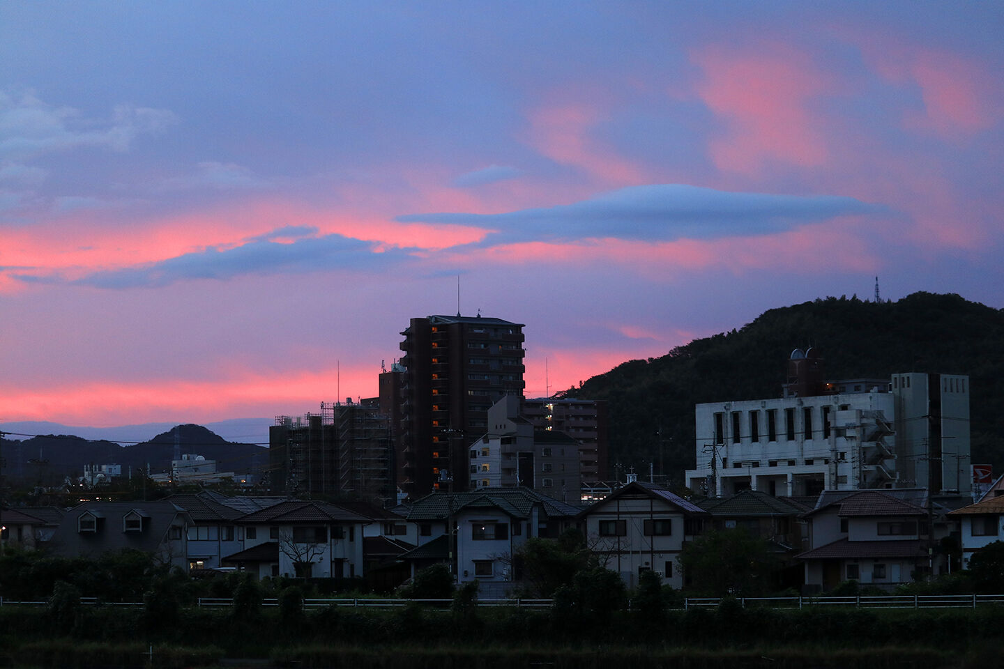 夜明けの空に 野良猫日記