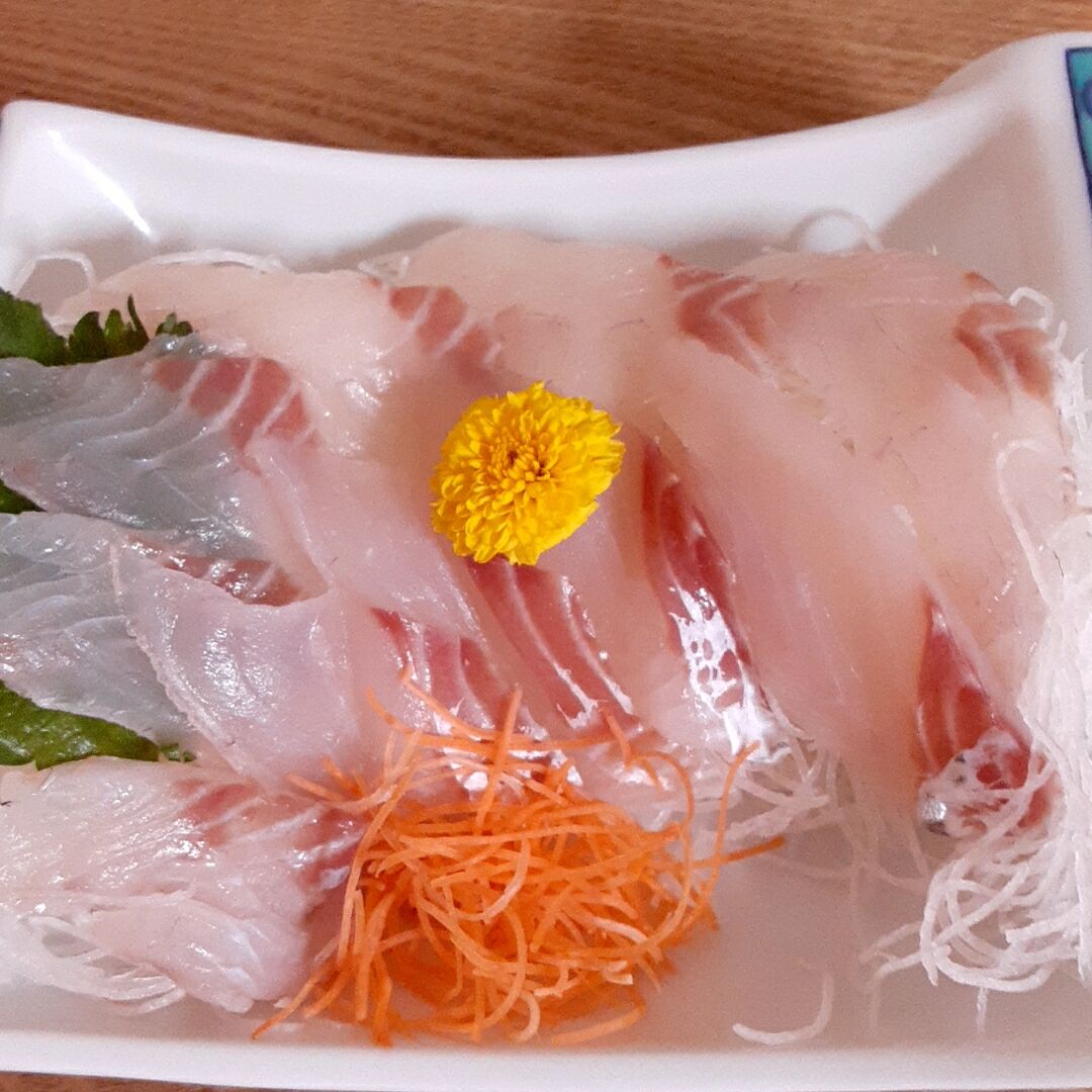 スズキ目スズキ科のスズキで晩酌 49歳 全財産8万円からの再出発ブログ