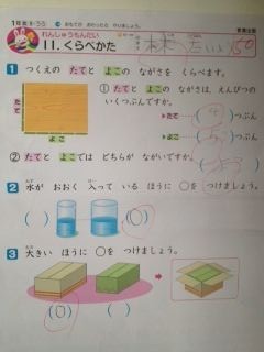 １年生２学期の太陽 算数 超未熟児22週542g太陽君の成長記録
