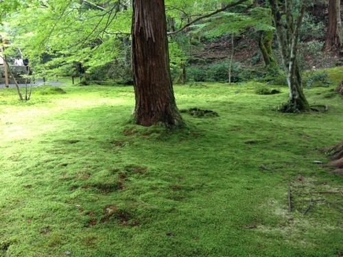 1ca020f8.jpg