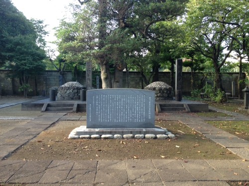 6d17b53a.jpg