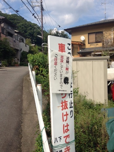 8a2a4885.jpg