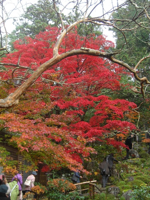 西明寺2