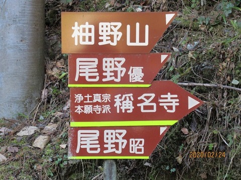尾野さん