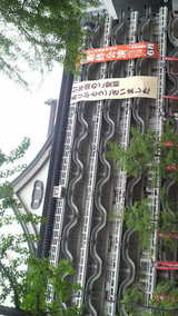 6f3014f4.jpg