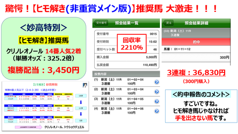 ヒモ解き非重賞1019