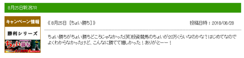 ちょい勝ち口コミ